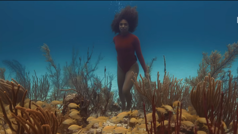 Alannah Vellacott - Bahamian Reimagined